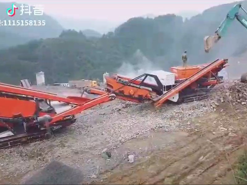 移动绿巨人视频官网站